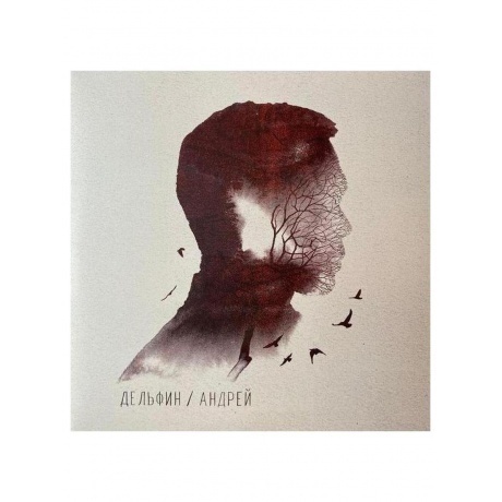 

Дельфин - Андрей (4620032917785) виниловая пластинка
