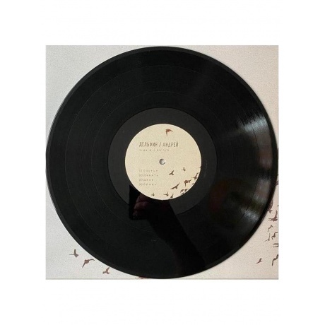 Дельфин - Андрей (4620032917785) виниловая пластинка - фото 11