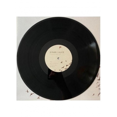 Дельфин - Андрей (4620032917785) виниловая пластинка - фото 12