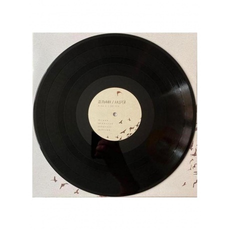 Дельфин - Андрей (4620032917785) виниловая пластинка - фото 13