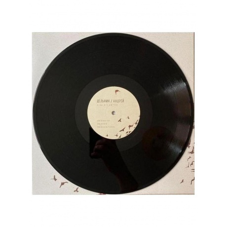 Дельфин - Андрей (4620032917785) виниловая пластинка - фото 14