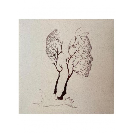 Дельфин - Андрей (4620032917785) виниловая пластинка - фото 3