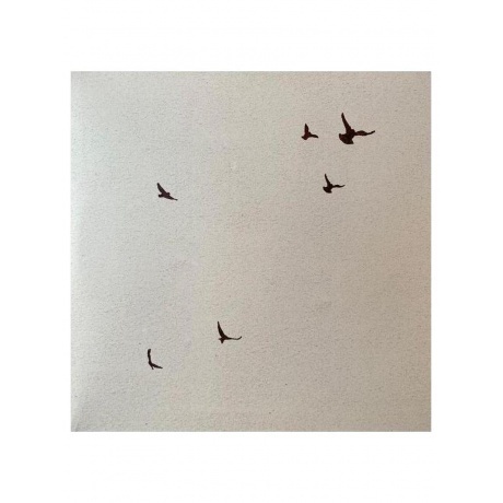 Дельфин - Андрей (4620032917785) виниловая пластинка - фото 4