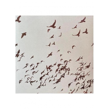 Дельфин - Андрей (4620032917785) виниловая пластинка - фото 5