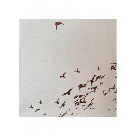 Дельфин - Андрей (4620032917785) виниловая пластинка - фото 6