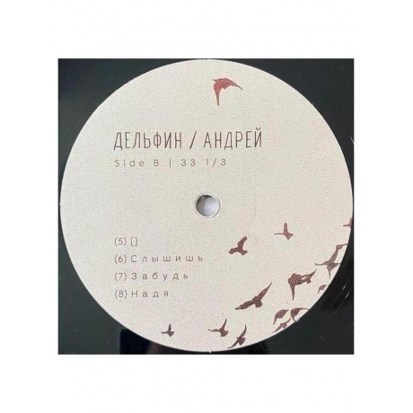 Дельфин - Андрей (4620032917785) виниловая пластинка - фото 8