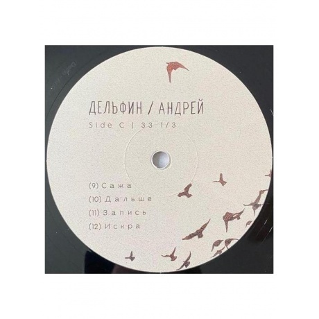 Дельфин - Андрей (4620032917785) виниловая пластинка - фото 9