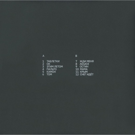 Земфира - Бордерлайн (Deluxe) (4680068801366) виниловая пластинка - фото 2