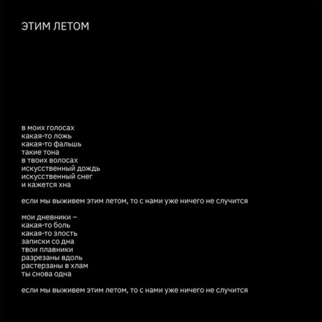 Земфира - Бордерлайн (Deluxe) (4680068801366) виниловая пластинка - фото 11