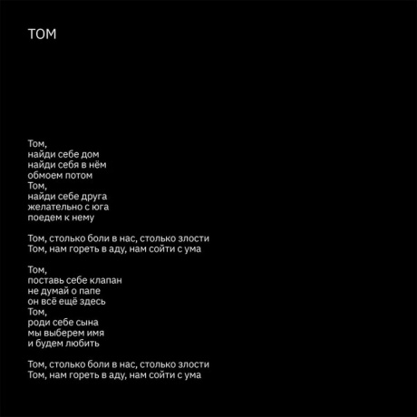 Земфира - Бордерлайн (Deluxe) (4680068801366) виниловая пластинка - фото 14