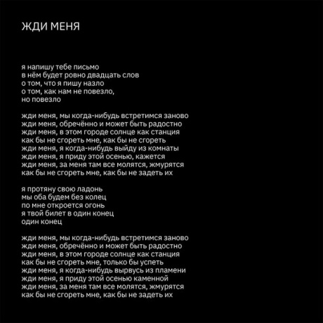 Земфира - Бордерлайн (Deluxe) (4680068801366) виниловая пластинка - фото 15