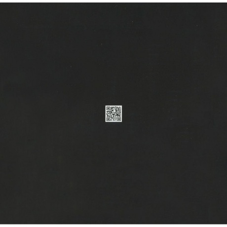 Земфира - Бордерлайн (Deluxe) (4680068801366) виниловая пластинка - фото 3