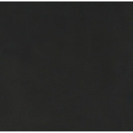 Земфира - Бордерлайн (Deluxe) (4680068801366) виниловая пластинка - фото 4