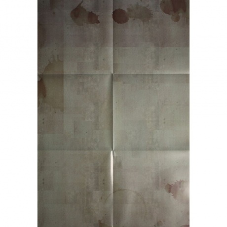 Земфира - Вендетта (4680068801311) виниловая пластинка - фото 8