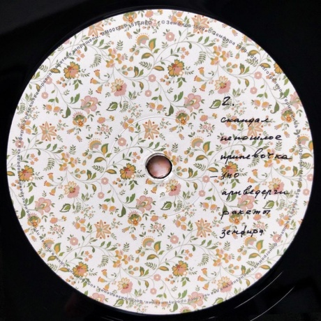 Земфира - Земфира (4680068801281) виниловая пластинка - фото 7