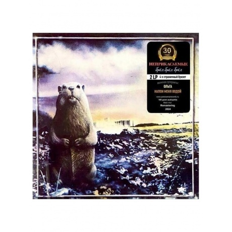 

Неприкасаемые - Брел, брел, брел (Lime Green) (4603320377669) виниловая пластинка