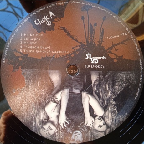 Чиж &amp; Сo - Гайдном буду! (4640004137744) виниловая пластинка - фото 3