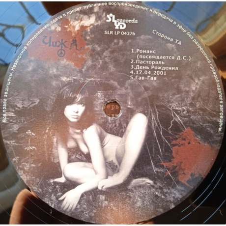 Чиж &amp; Сo - Гайдном буду! (4640004137744) виниловая пластинка - фото 4