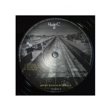 Чиж &amp; Сo - ЭРОГЕННАЯ ЗОНА (4640004137096) виниловая пластинка - фото 6
