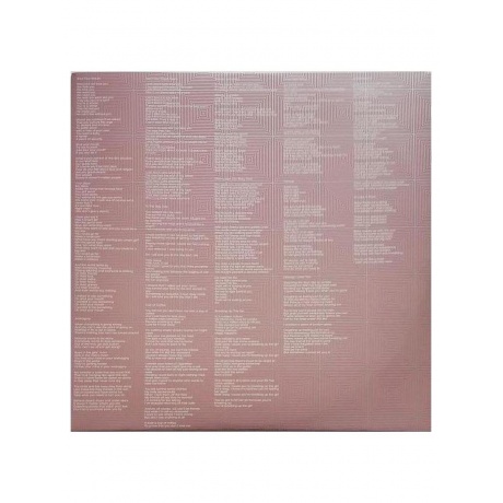 Garbage - Beautiful Garbage (Deluxe Box Set) (4050538689433) виниловая пластинка - фото 8