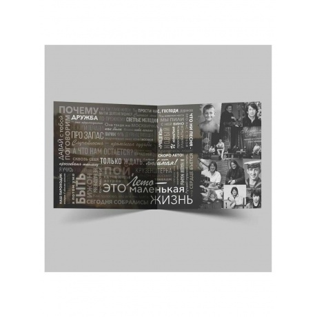 Олег Митяев - Лето - это маленькая жизнь (4657792367895) виниловая пластинка - фото 3