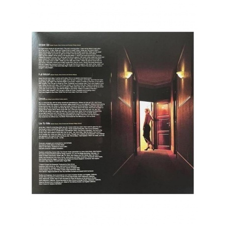 Karen Souza - Hotel Souza (Transparent) (8430717000062) виниловая пластинка - фото 3