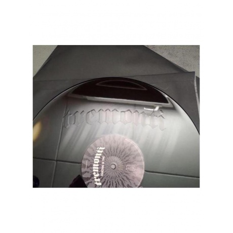 Tremonti - Marching In Time (840588148554) виниловая пластинка - фото 10