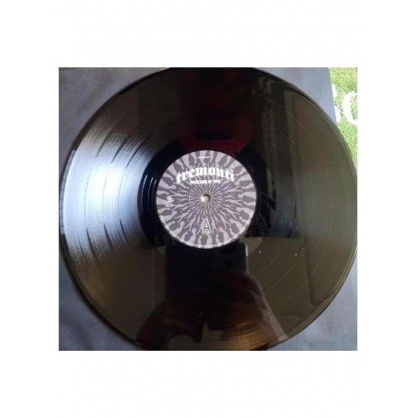 Tremonti - Marching In Time (840588148554) виниловая пластинка - фото 7