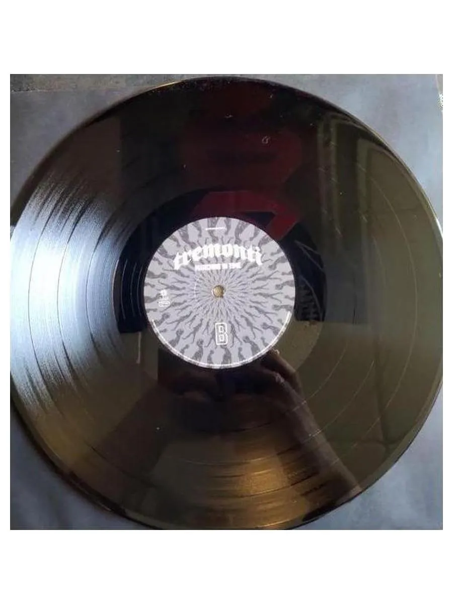 Tremonti - Marching In Time (840588148554) виниловая пластинка - фото 8