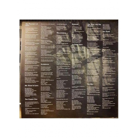 Dark Sarah - Grim  (0840588134588) виниловая пластинка - фото 3