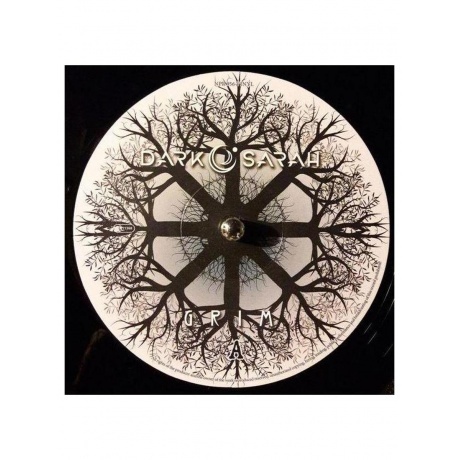 Dark Sarah - Grim  (0840588134588) виниловая пластинка - фото 5