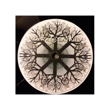 Dark Sarah - Grim  (0840588134588) виниловая пластинка - фото 7