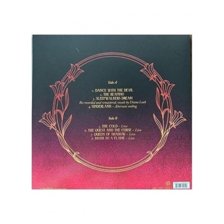 Delain - Dance With The Devil  (0810137300504) виниловая пластинка - фото 3