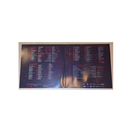 Ryujin - Raijin And Fujin  (0810135714143) виниловая пластинка - фото 2