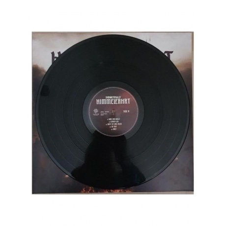 Subway To Sally - Himmelfahrt  (0840588175338) виниловая пластинка - фото 4