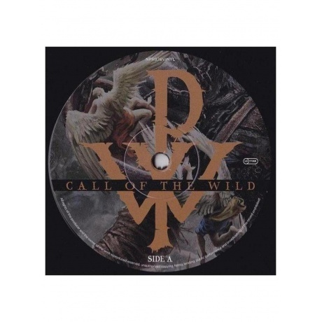 Powerwolf - Call Of The Wild  (0840588146031) виниловая пластинка - фото 6