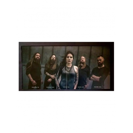 Hiraes - Dormant (810135715409) виниловая пластинка - фото 2