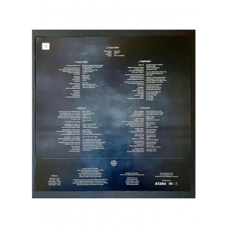 Hiraes - Dormant (810135715409) виниловая пластинка - фото 5