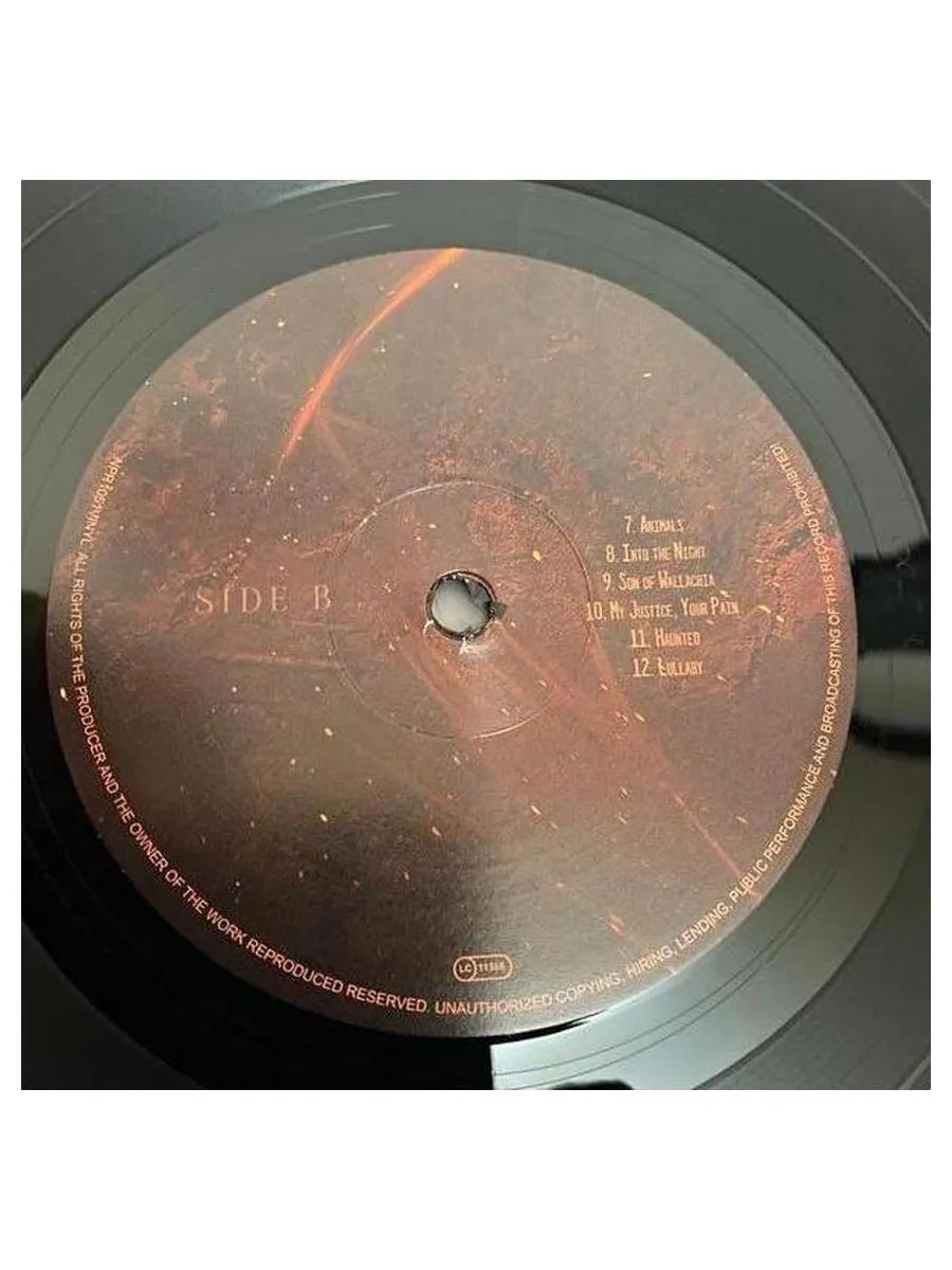 Ad Infinitum - Chapter II - Legacy (840588150489) виниловая пластинка - фото 6