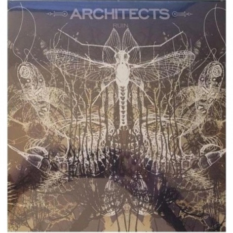 Architects - Ruin  (0840588158805) виниловая пластинка