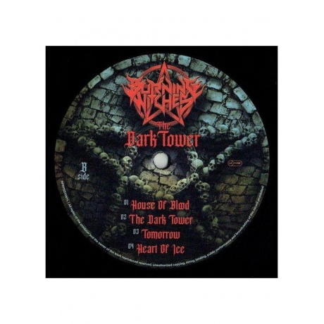 Burning Witches - The Dark Tower (840588173518) виниловая пластинка - фото 5
