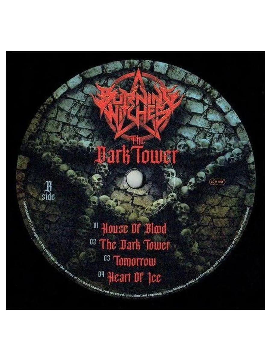 Burning Witches - The Dark Tower (840588173518) виниловая пластинка - фото 5