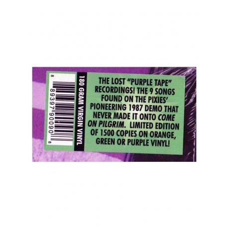 Pixies - Pixies (889397900908) виниловая пластинка - фото 7
