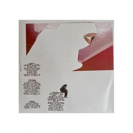 Mac Miller - Balloonerism  (0093624851608) виниловая пластинка - фото 6