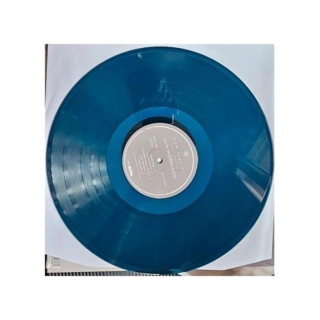 Van Morrison - Now Playing  (0081227816667) виниловая пластинка - фото 3