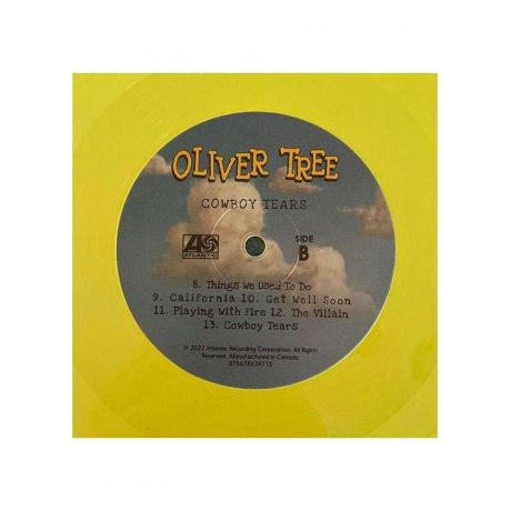 Oliver Tree - Cowboy Tears (Yellow) (75678639708) виниловая пластинка - фото 6