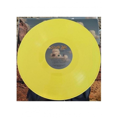 Oliver Tree - Cowboy Tears (Yellow) (75678639708) виниловая пластинка - фото 7