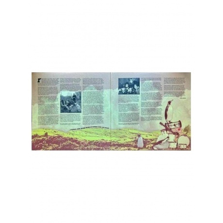 Fleetwood Mac - Best Of 1969-1974  (0603497824328) виниловая пластинка - фото 3