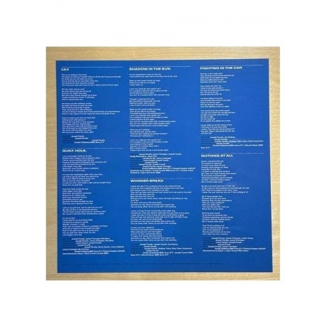 Joe P - Garden State Vampire  (0075678627644) виниловая пластинка - фото 4