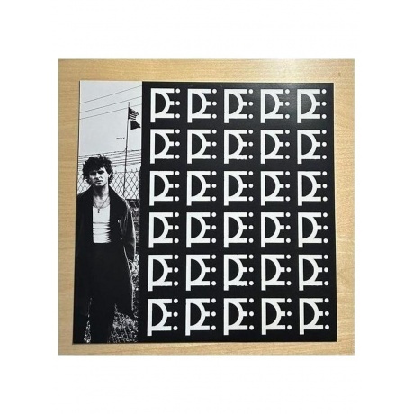 Joe P - Garden State Vampire  (0075678627644) виниловая пластинка - фото 6